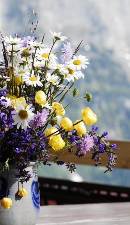 Alpinhotel Bort Grindelwald Exterior photo