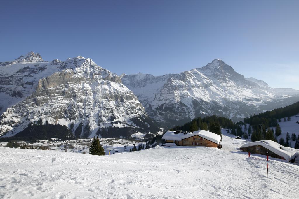 Alpinhotel Bort Grindelwald Exterior photo