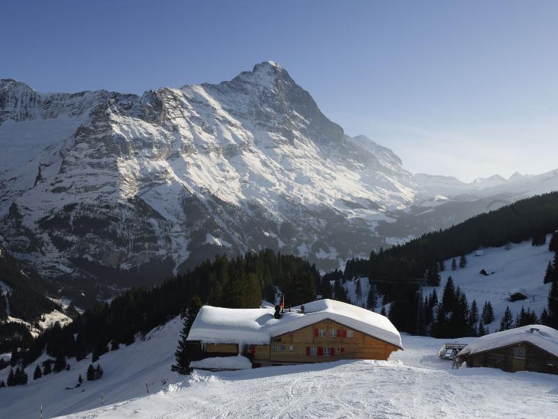 Alpinhotel Bort Grindelwald Exterior photo