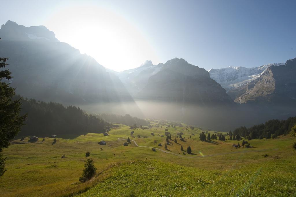 Alpinhotel Bort Grindelwald Room photo