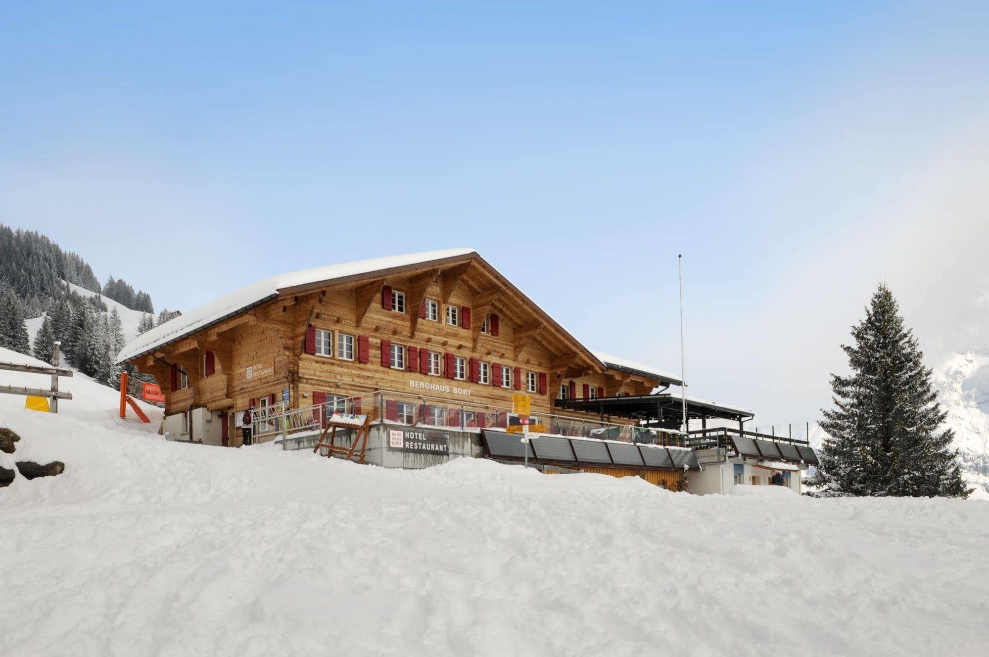 Alpinhotel Bort Grindelwald Exterior photo