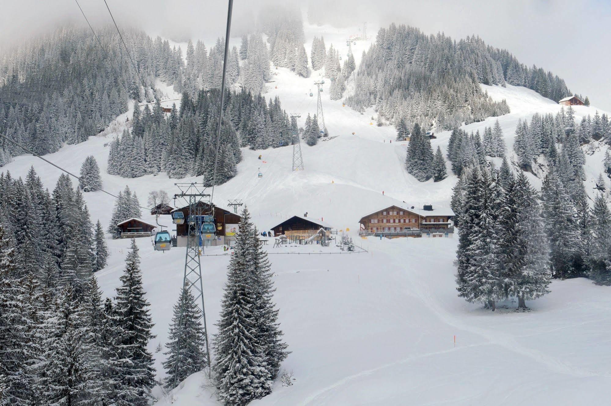 Alpinhotel Bort Grindelwald Exterior photo